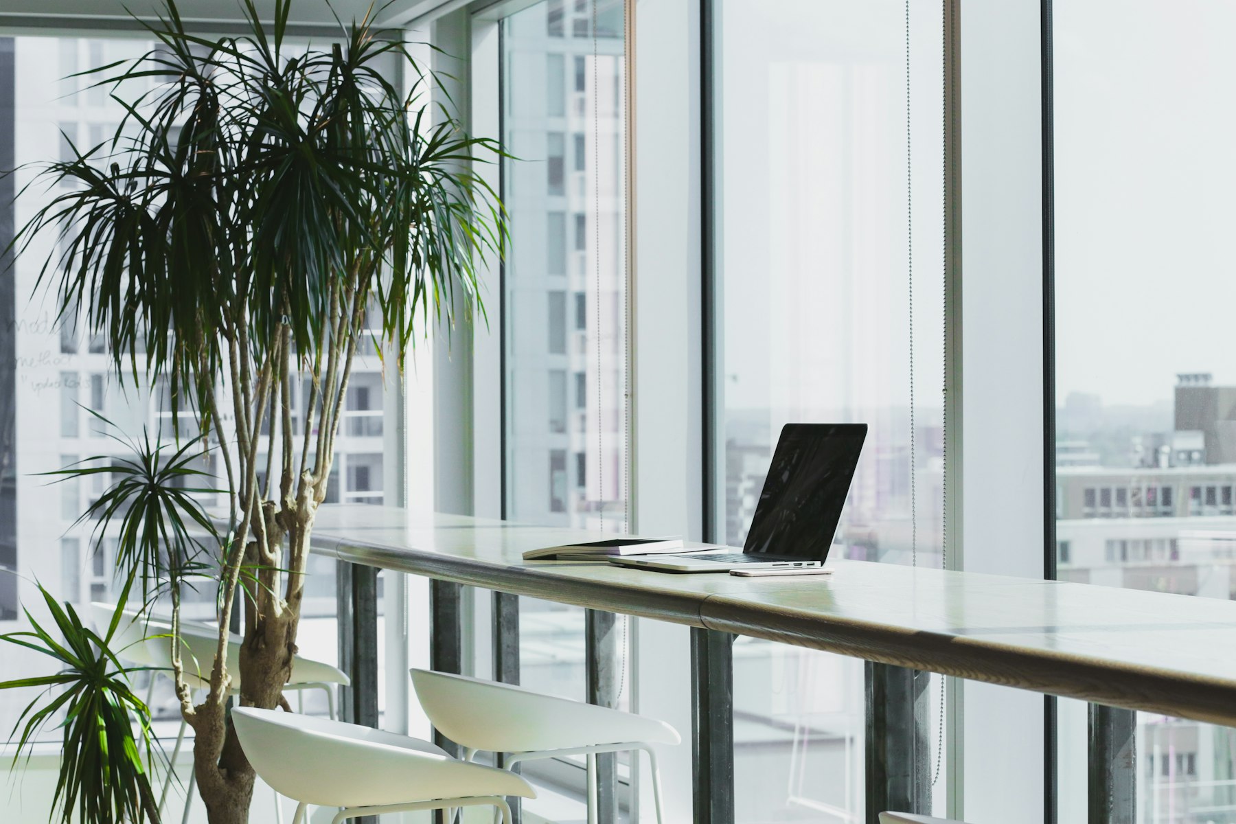 Persönliche Beratung im Büro von Tok Immobilienmanagement